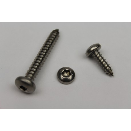 RVS cilinderkop torx - DIN 9477